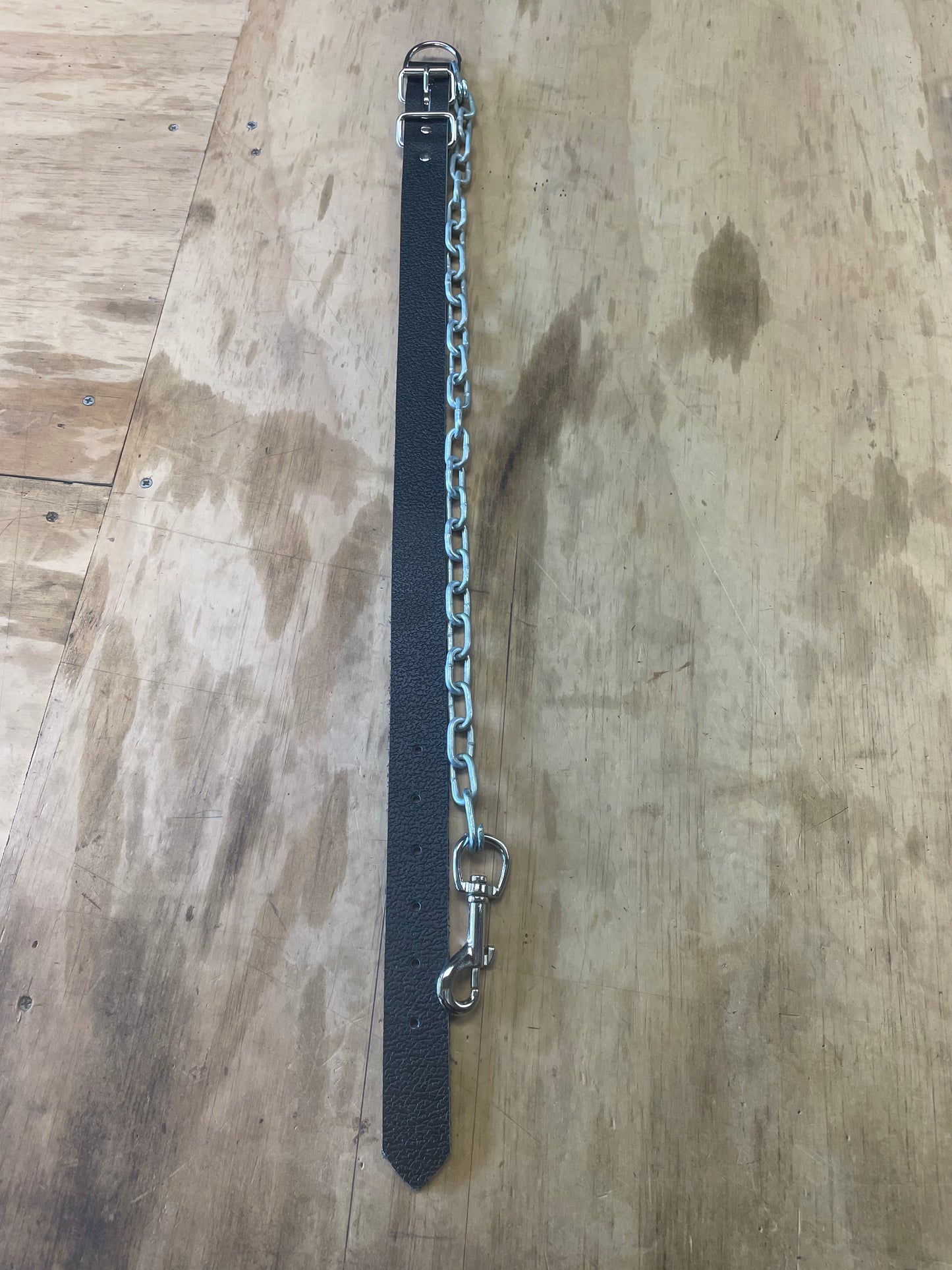 Large dog collar